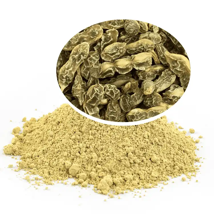 Key Benefits of Kaempferol Powder