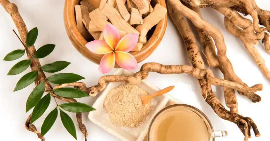 Tongkat Ali Extract Powder