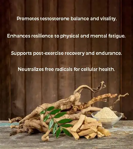 Benefits of Tongkat Ali Extract Powder