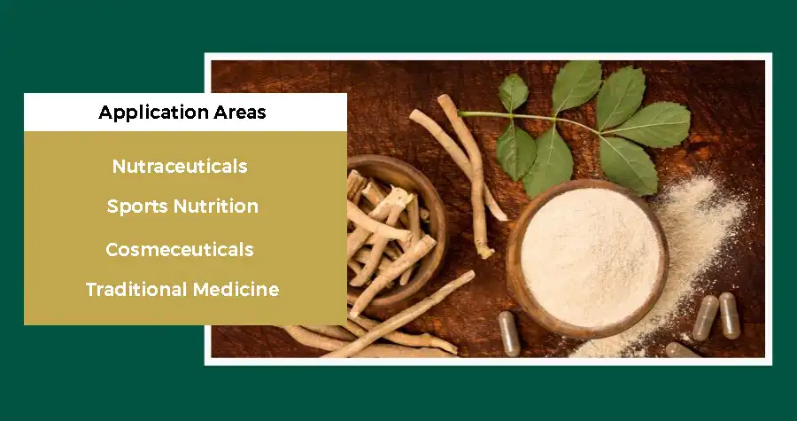 Tongkat Ali Extract Powder Application Areas Tongkat Ali Extract Powder Application Areas