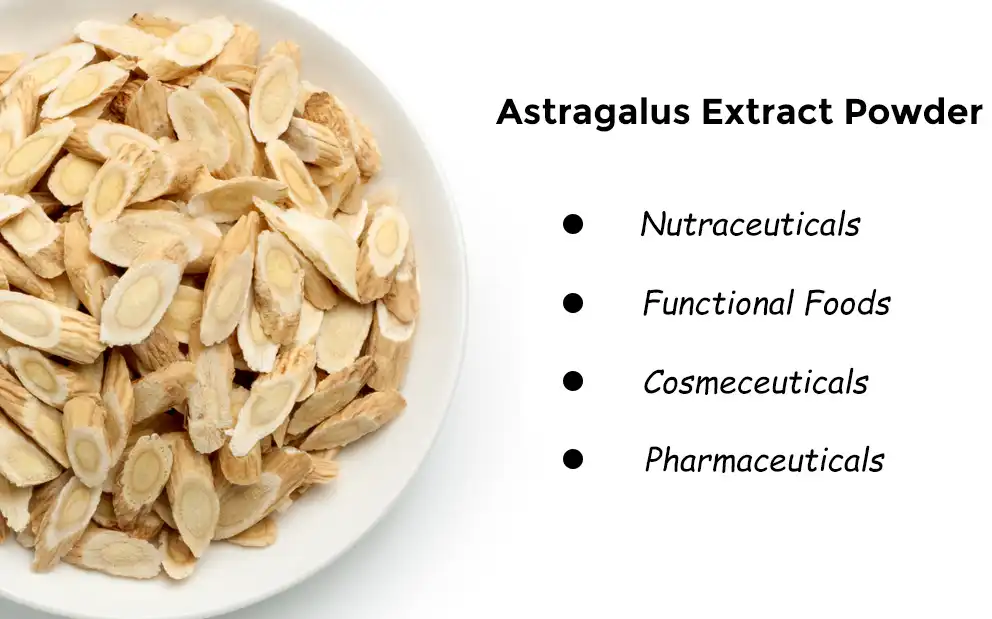 Application Areas of Astragalus Extract Powder Application Areas of Astragalus Extract Powder