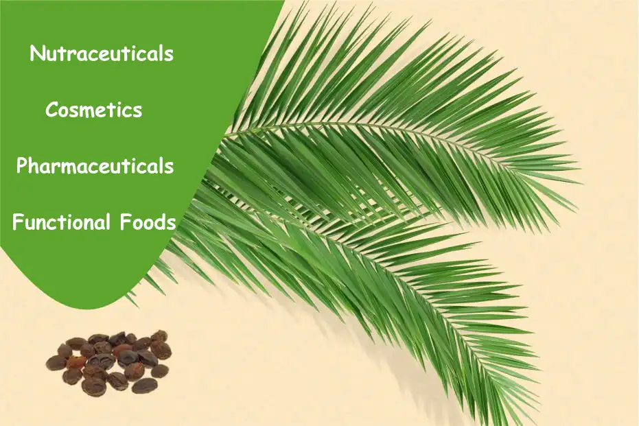 Saw Palmetto Fruit Powder Application Areas