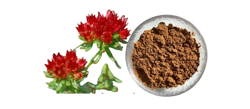 Rhodiola Rosea Extract Powder