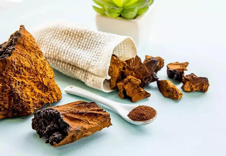 Chaga Mushroom Extract Powder Chaga Mushroom Extract Powder