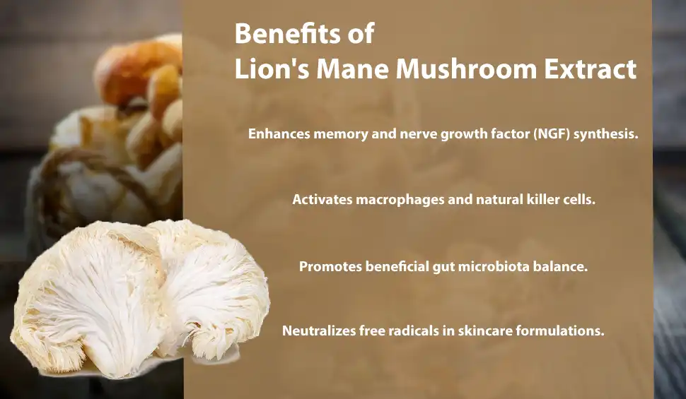Lion's Mane Mushroom Extract Powder benefits Lion's Mane Mushroom Extract Powder benefits