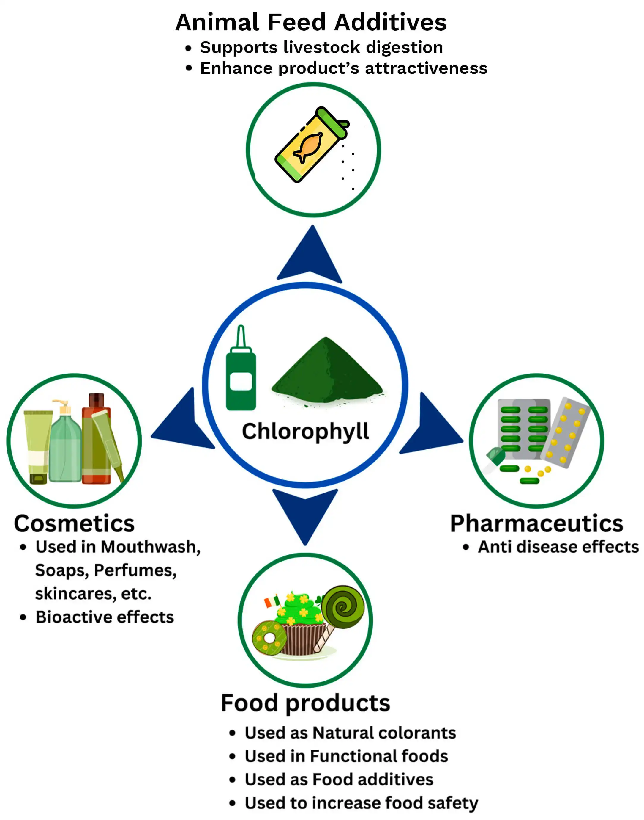 Oil Soluble Chlorophyll application