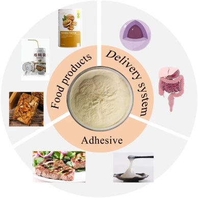 Walnut Peptide application