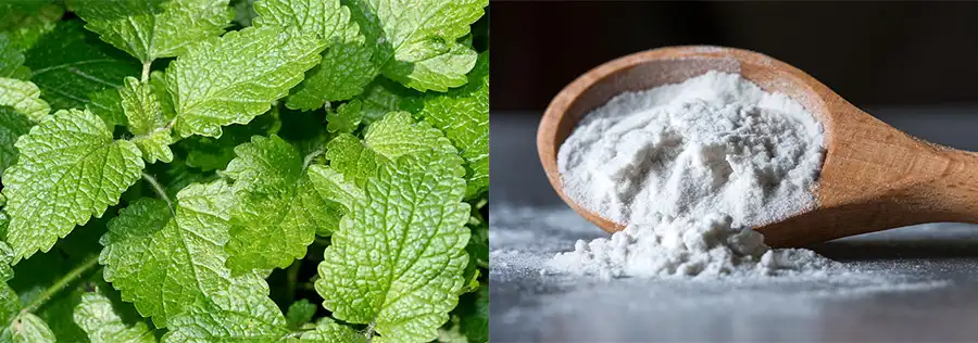 Caffeic Acid Powder