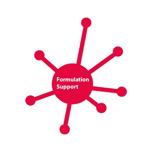 Formulation Support