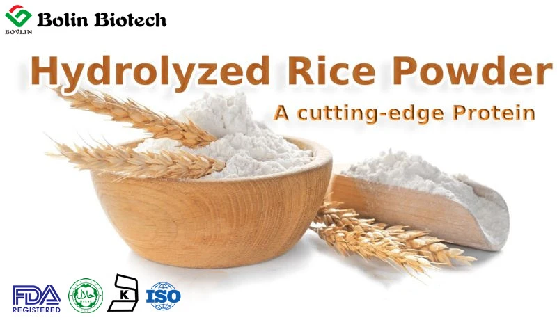 Hydrolyzed Rice Protein Powder Hydrolyzed Rice Protein Powder