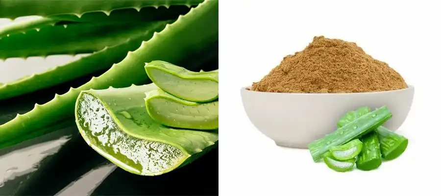 Aloe Vera Leaf extract powder Aloe Vera Leaf extract powder