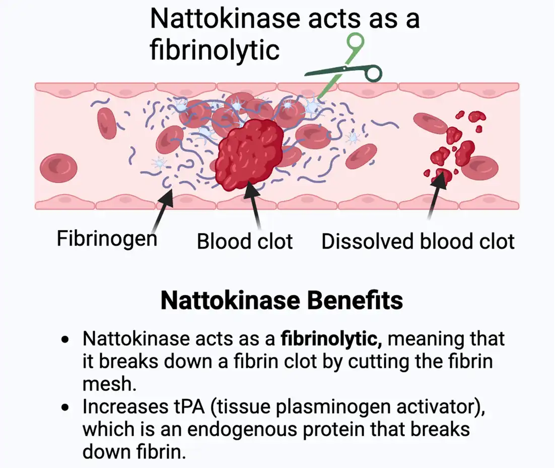 Natto Nattokinase benefits