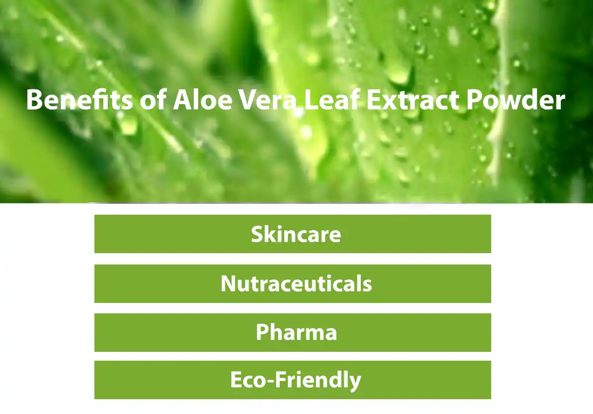 Benefits of Aloe Vera Leaf Extract Powder Benefits of Aloe Vera Leaf Extract Powder