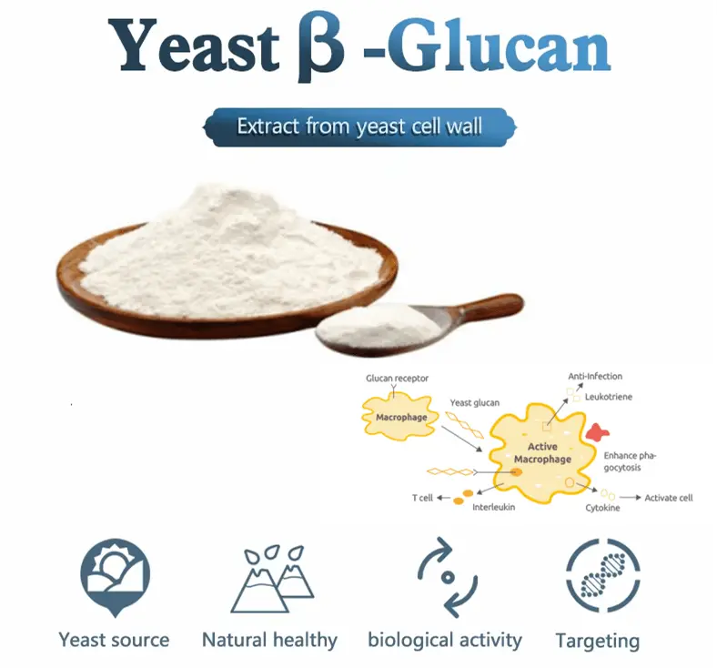 Yeast Beta Glucan Powder benefits Yeast Beta Glucan Powder benefits
