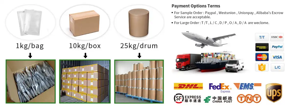 Quercetin Powder Bulk packing