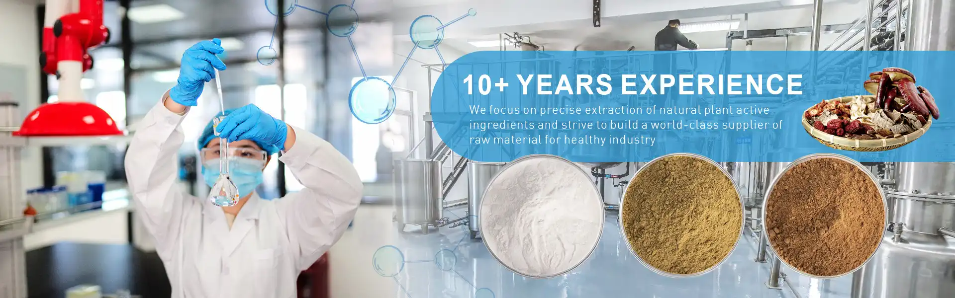 Garlic Extract Powder supplier Garlic Extract Powder supplier