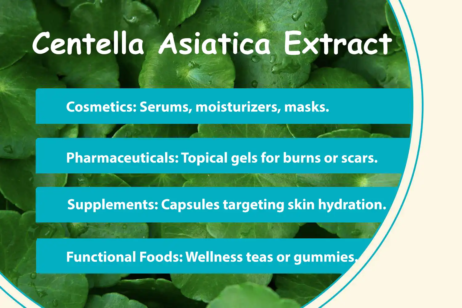 Centella Asiatica Extract Application Areas