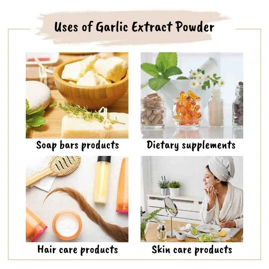 Garlic Extract Powder application Garlic Extract Powder application