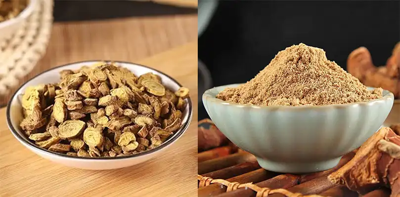 Scutellaria Baicalensis Extract Scutellaria Baicalensis Extract