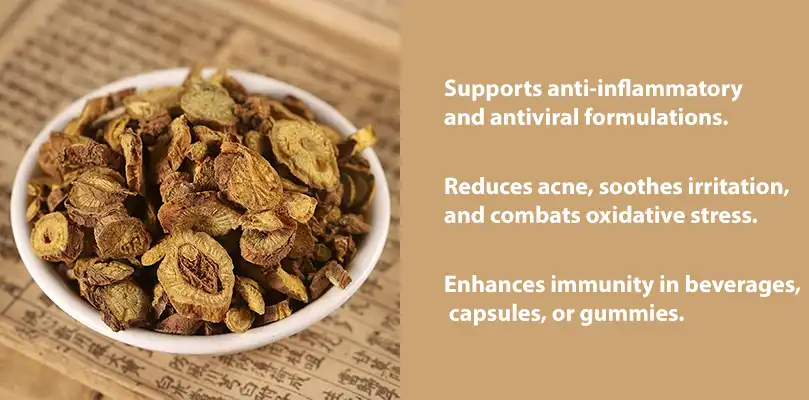 Benefits of Scutellaria Baicalensis Extract Benefits of Scutellaria Baicalensis Extract