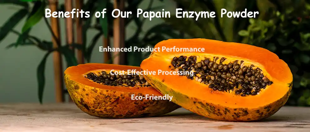 Benefits of Our Papain Enzyme Powder Benefits of Our Papain Enzyme Powder