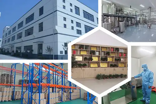 supplier