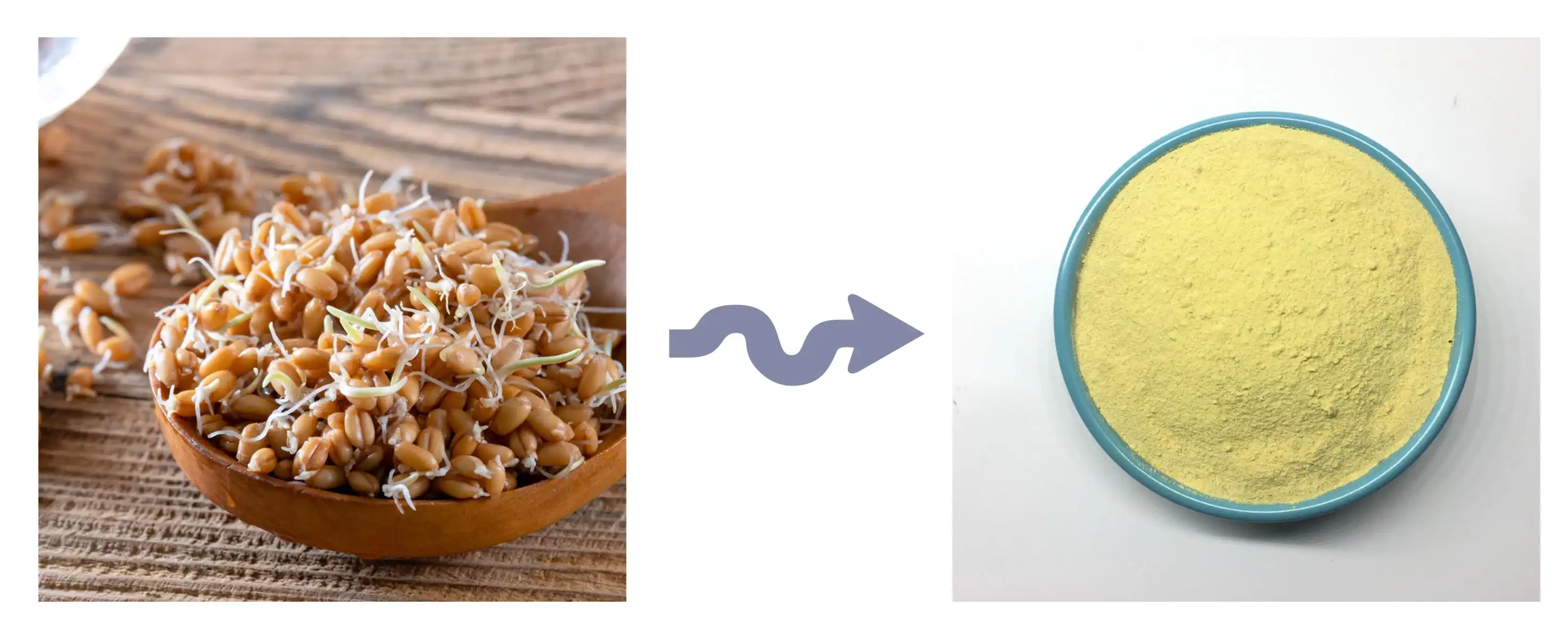 Spermidine Powder Spermidine Powder