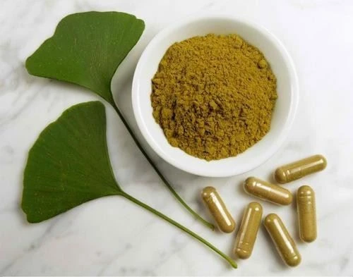 Ginkgo Biloba Leaf Extract Powder