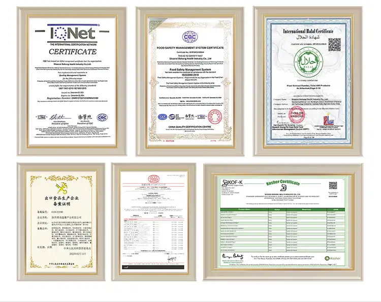 Elderberry Extract Powder certificates