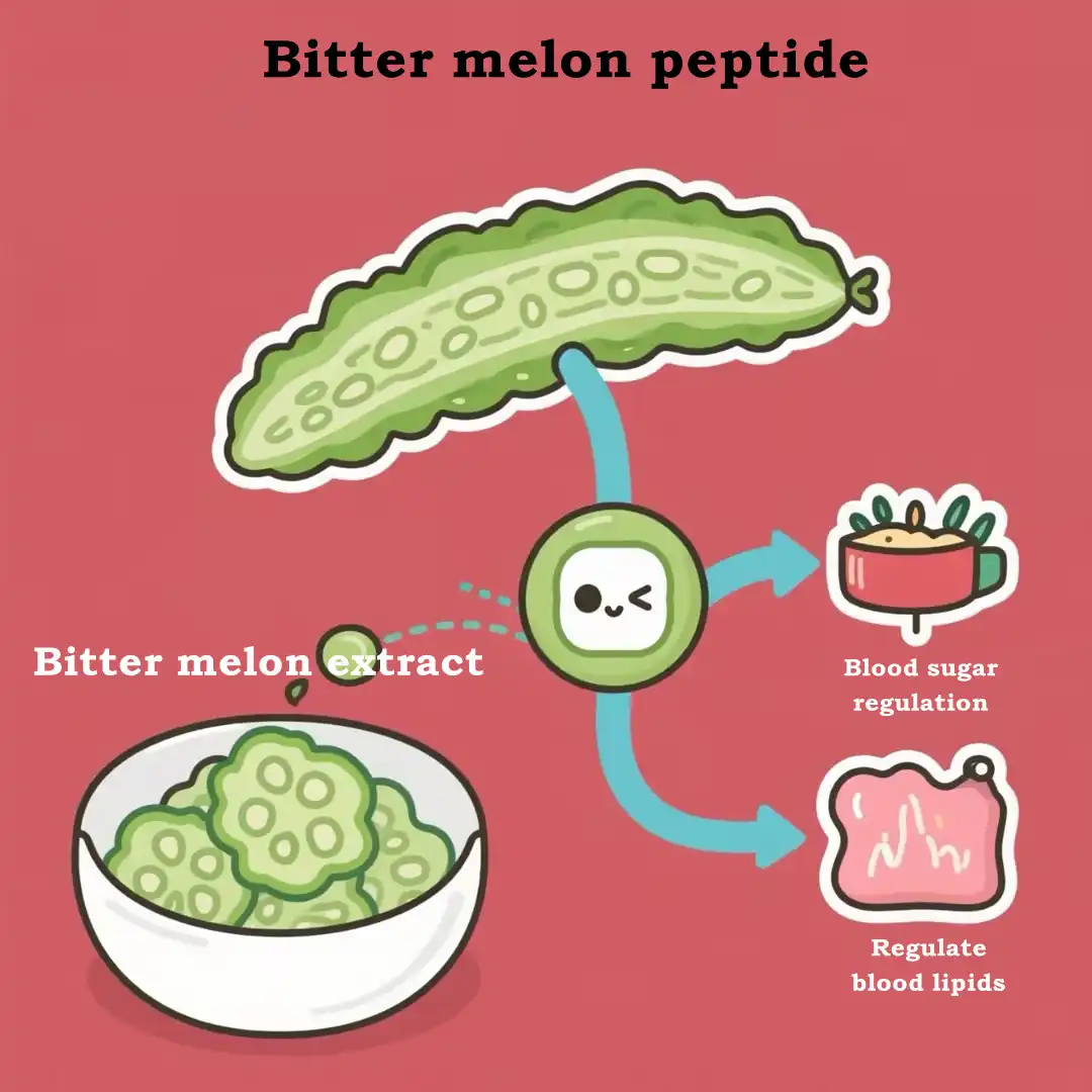Bitter Melon Peptide benefits Bitter Melon Peptide benefits