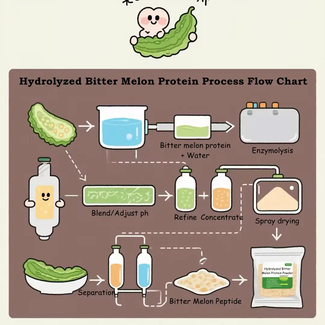 Bitter Melon Peptide flow chart