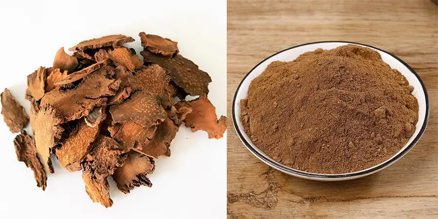 Cistanche Deserticola Extract Cistanche Deserticola Extract