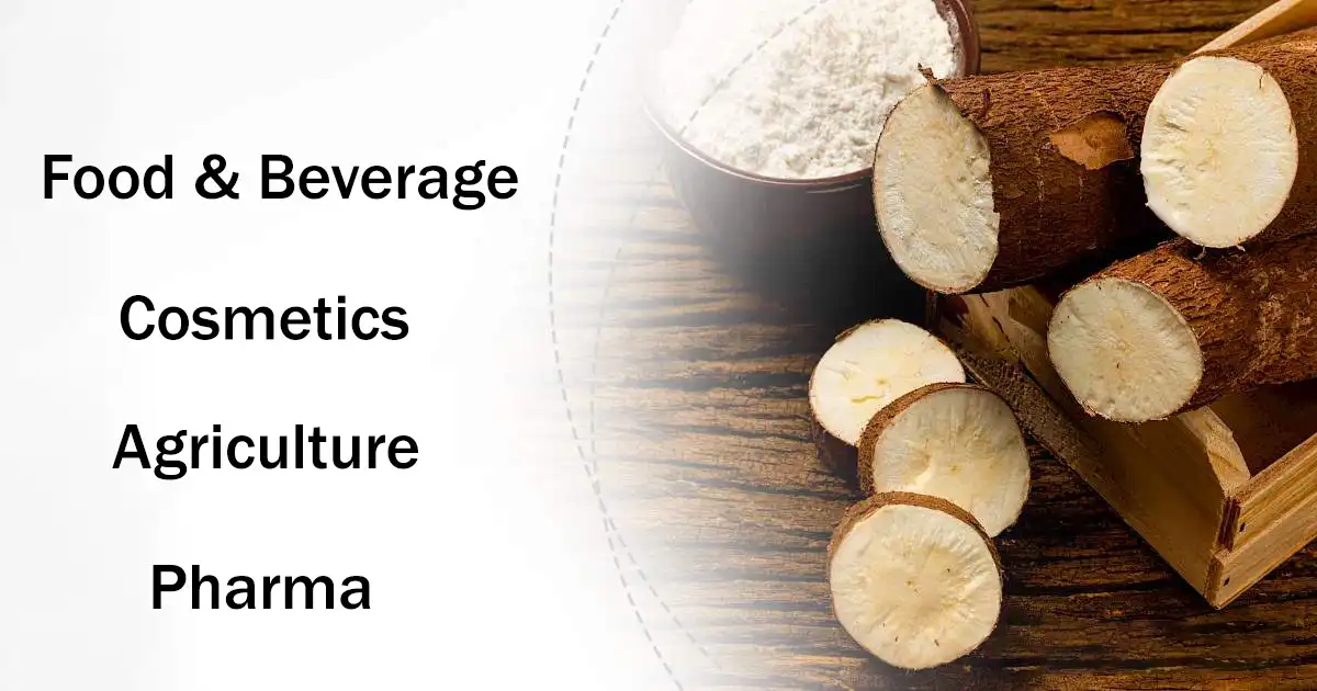 Benefits of Yucca Root Extract Benefits of Yucca Root Extract