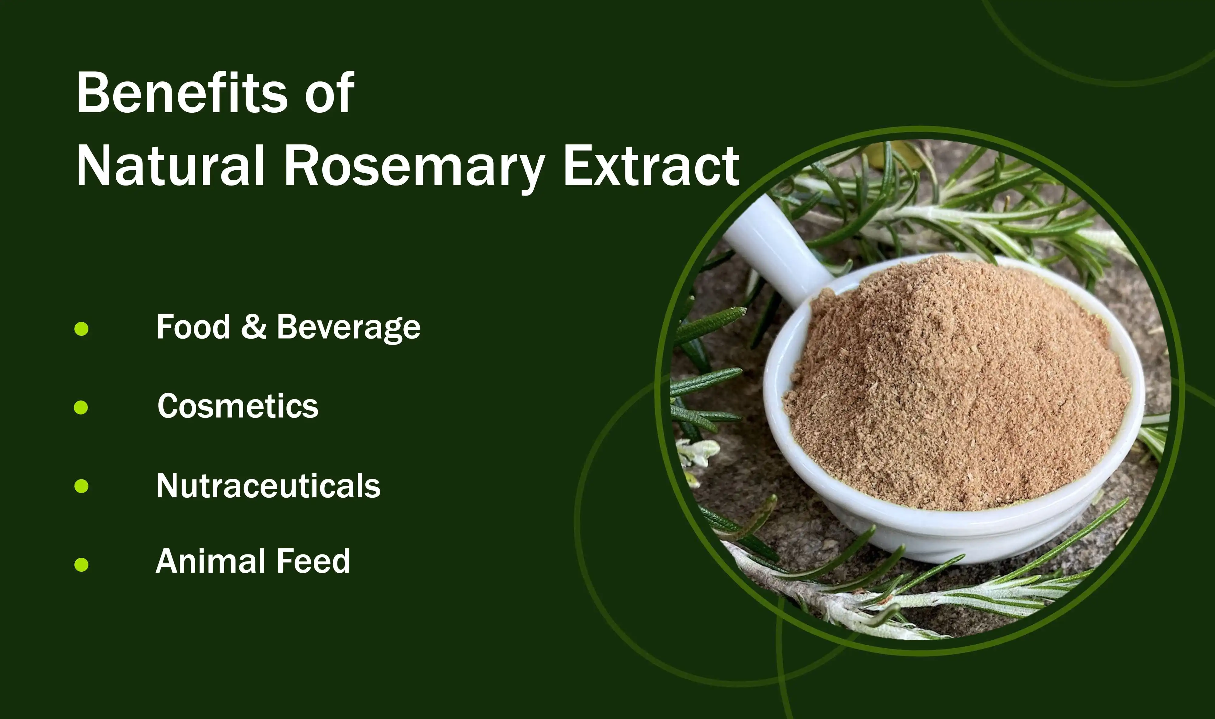 Natural Rosemary Extract Benefits Natural Rosemary Extract Benefits