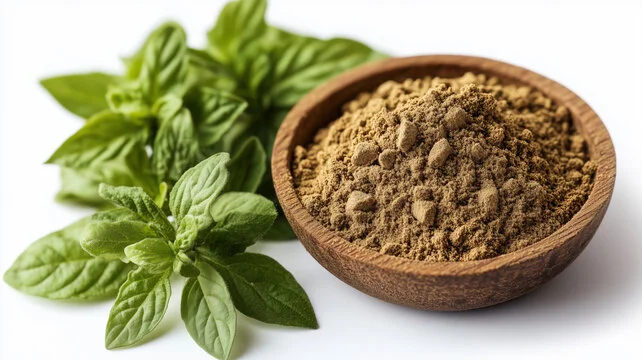 Oregano Extract Oregano Extract