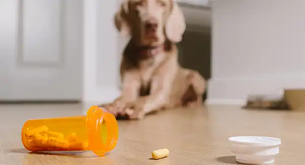 product-800-450 product-800-450