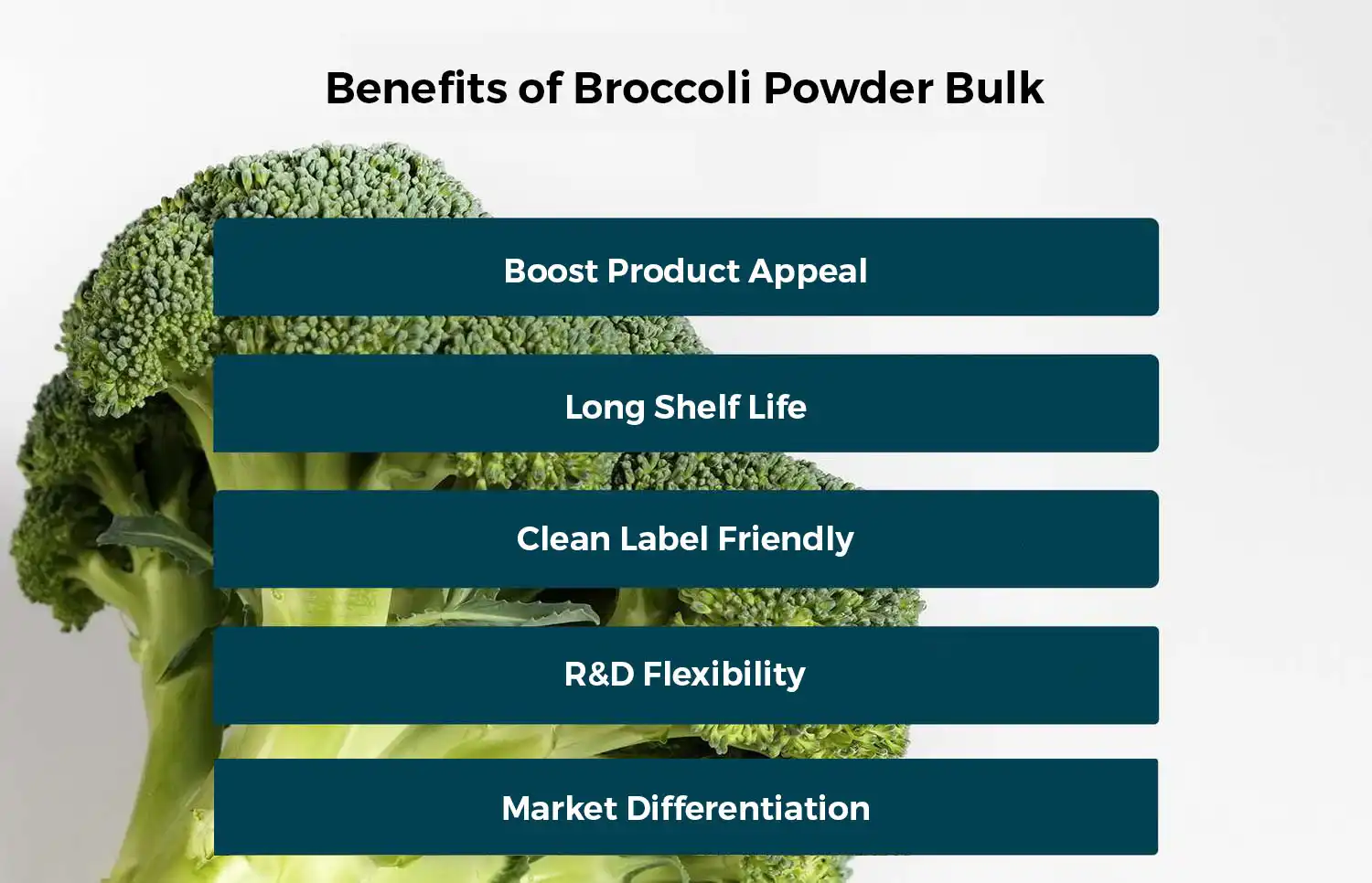 product-1-1 product-1-1