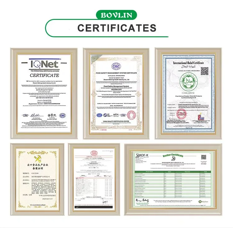 Our Certificates Our Certificates