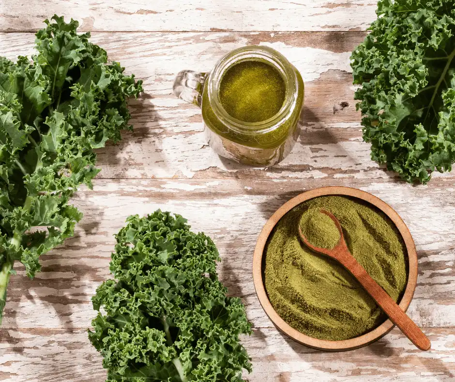 Bulk Kale Powder Bulk Kale Powder