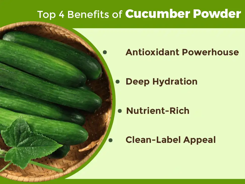Benefits of Cucumber Powder