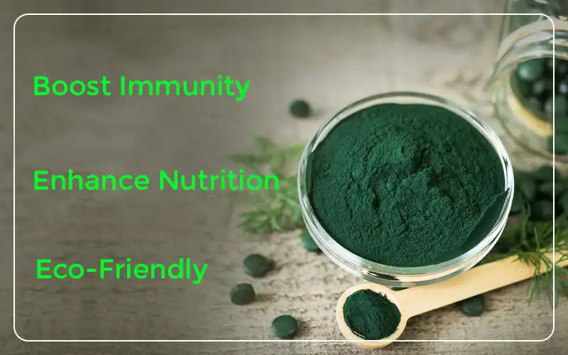 Benefits of Super Green Spirulina Powder
