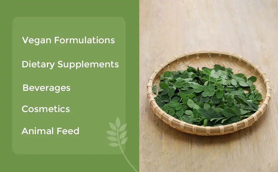 Application Areas Application Areas