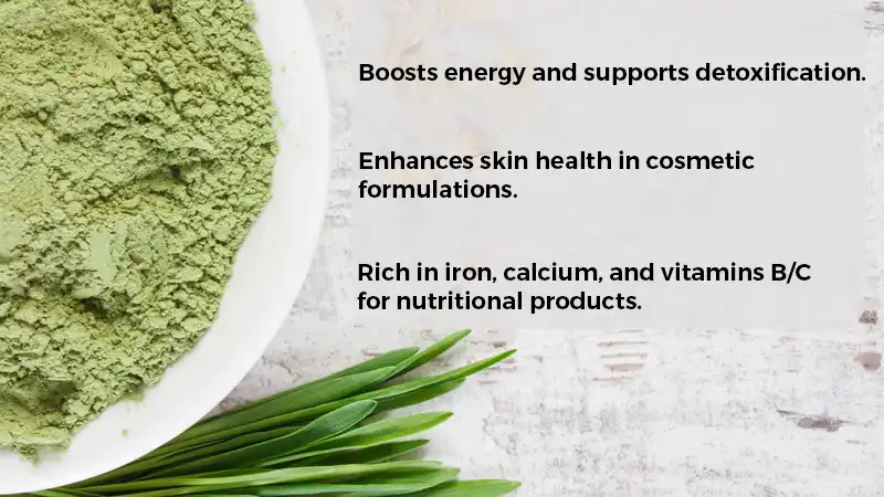 Benefits of Barley Grass Powder