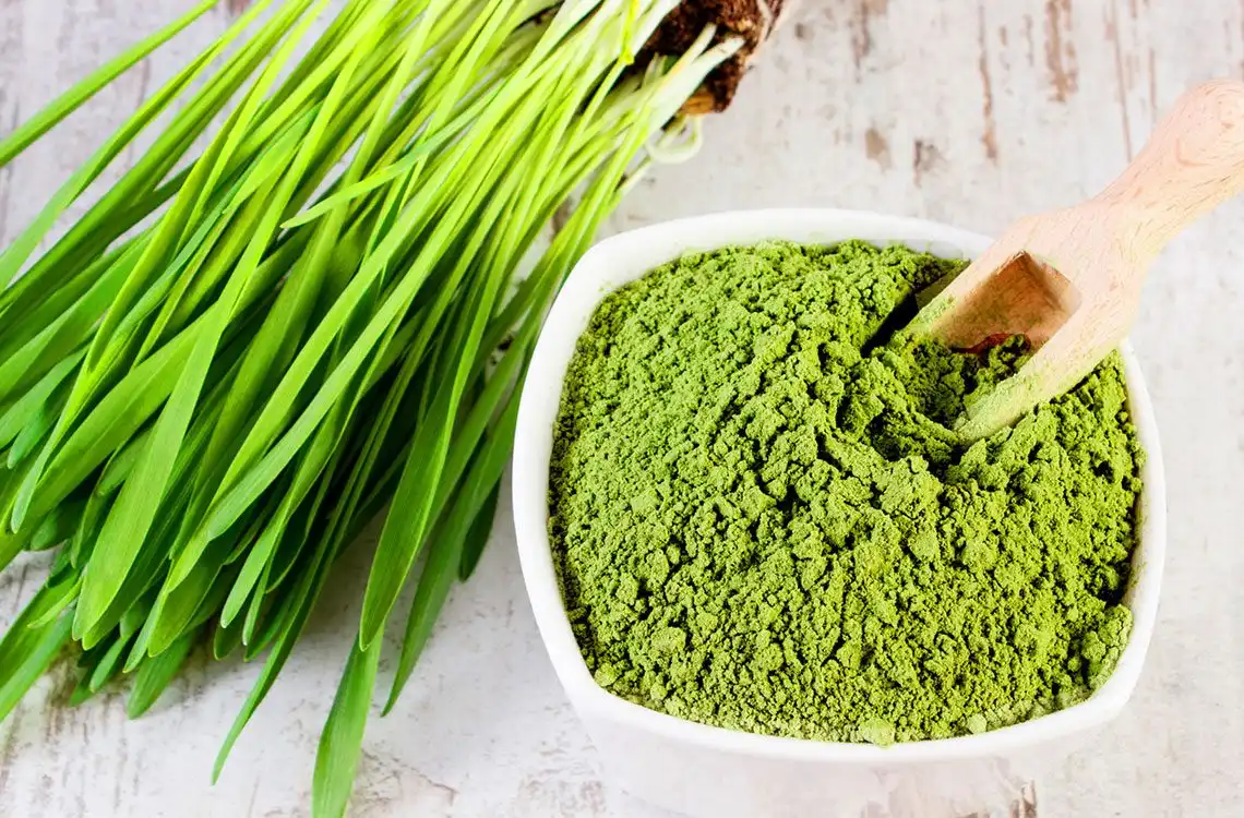 Organic Wheatgrass Powder Introduction Organic Wheatgrass Powder Introduction