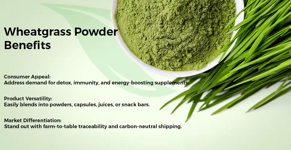 Benefits of Organic Wheatgrass Powder Benefits of Organic Wheatgrass Powder