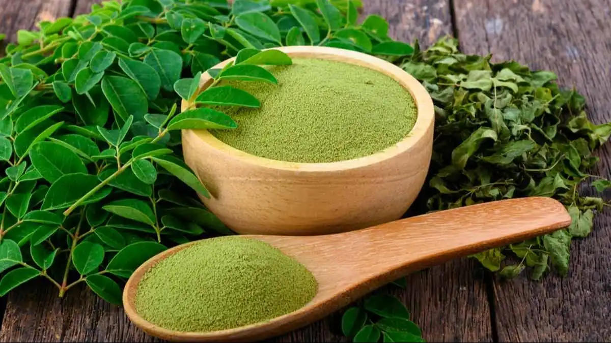 Alfalfa Leaf Powder
