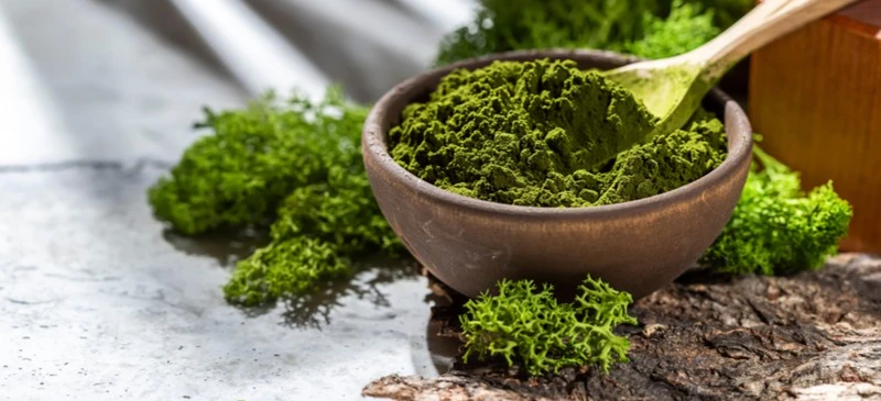 Best Chlorella Powder