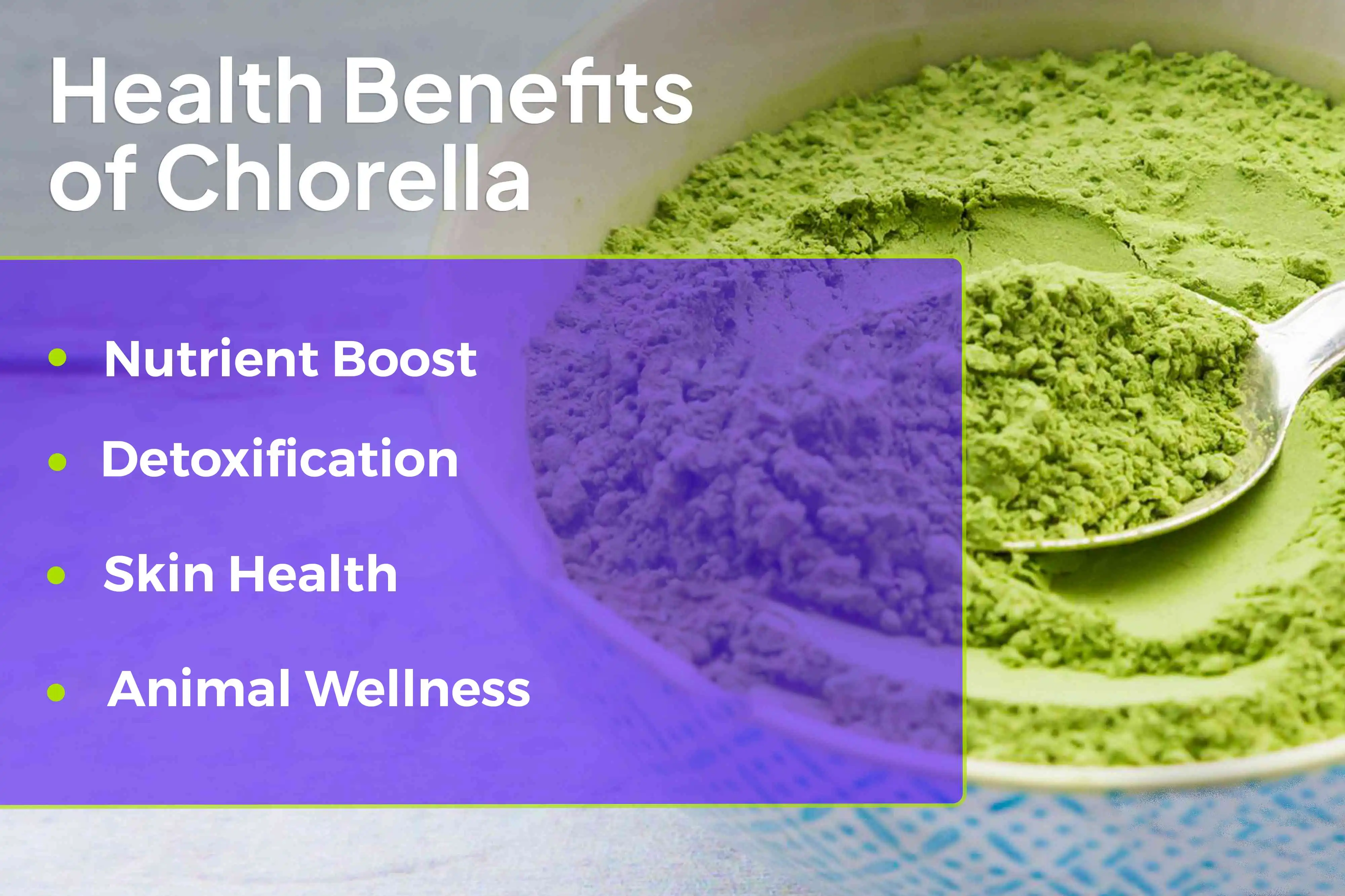 Best Chlorella Powder benefits Best Chlorella Powder benefits