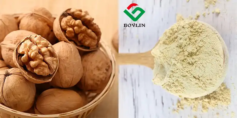 Walnut Peptide