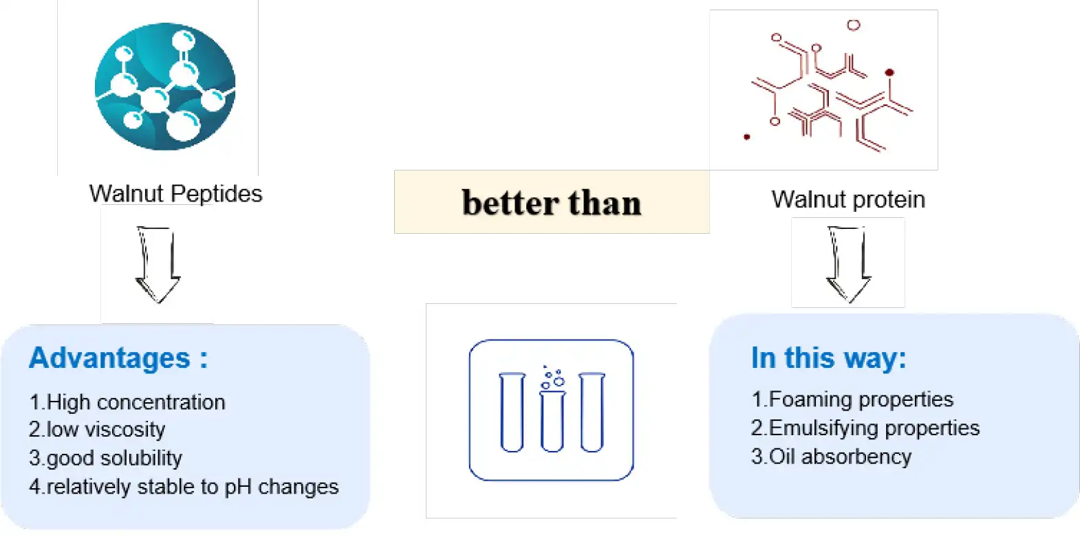 walnut peptide vs walnut protein walnut peptide vs walnut protein